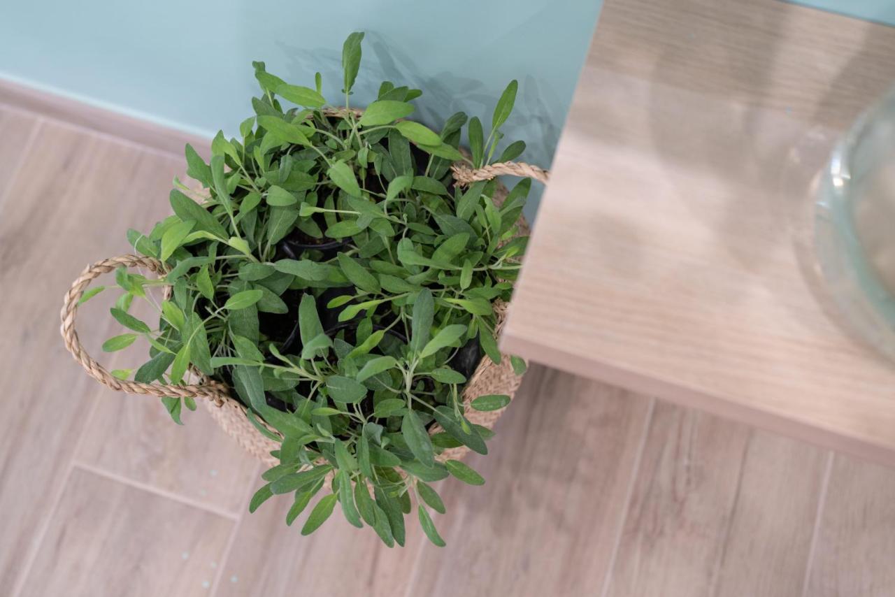 Viva Apartment 索伦托 外观 照片